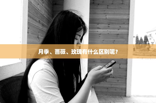 月季、蔷薇、玫瑰有什么区别呢？