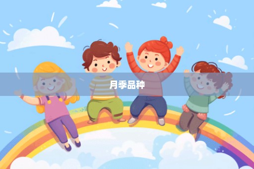 月季品种