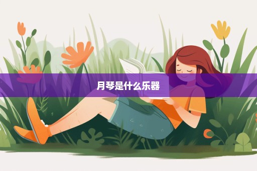 月琴是什么乐器