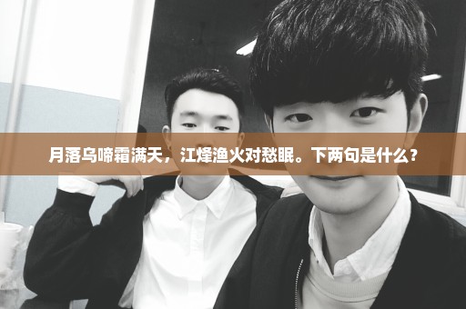 月落乌啼霜满天，江烽渔火对愁眠。下两句是什么？