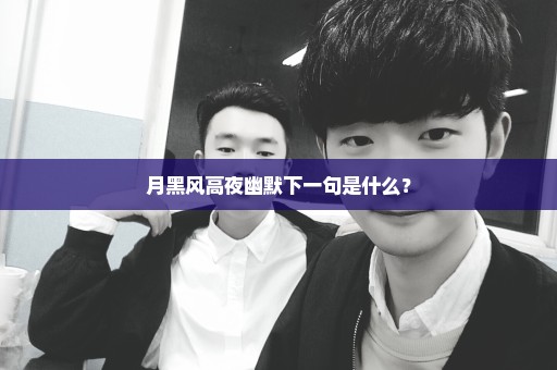 月黑风高夜幽默下一句是什么？