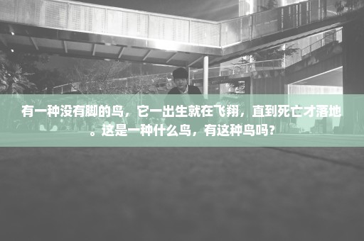 有一种没有脚的鸟，它一出生就在飞翔，直到死亡才落地。这是一种什么鸟，有这种鸟吗？