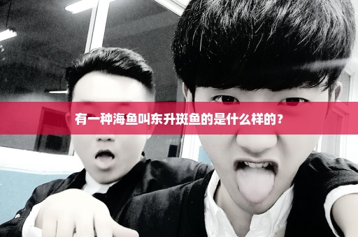 有一种海鱼叫东升斑鱼的是什么样的？
