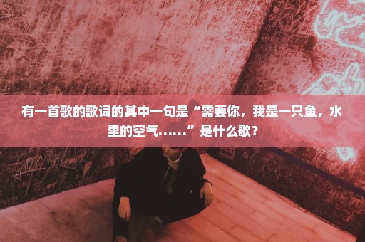 有一首歌的歌词的其中一句是“需要你，我是一只鱼，水里的空气……”是什么歌？