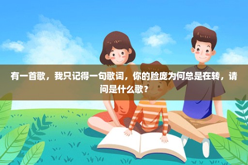 有一首歌，我只记得一句歌词，你的脸庞为何总是在转，请问是什么歌？