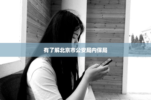 有了解北京市公安局内保局