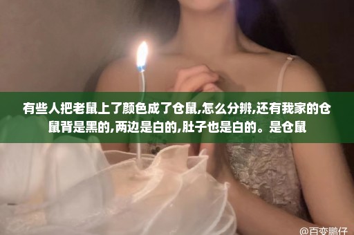 有些人把老鼠上了颜色成了仓鼠,怎么分辨,还有我家的仓鼠背是黑的,两边是白的,肚子也是白的。是仓鼠