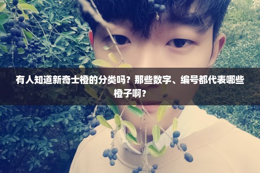 有人知道新奇士橙的分类吗？那些数字、编号都代表哪些橙子啊？