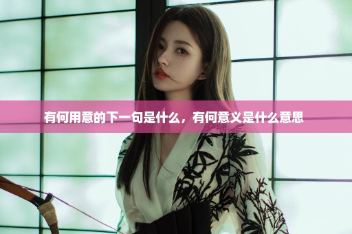 有何用意的下一句是什么，有何意义是什么意思 