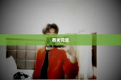有关元旦