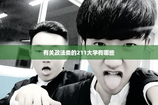 有关政法类的211大学有哪些