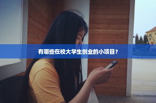 有哪些在校大学生创业的小项目？