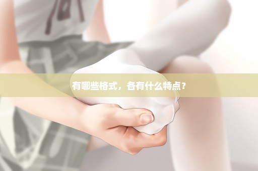 有哪些格式，各有什么特点？