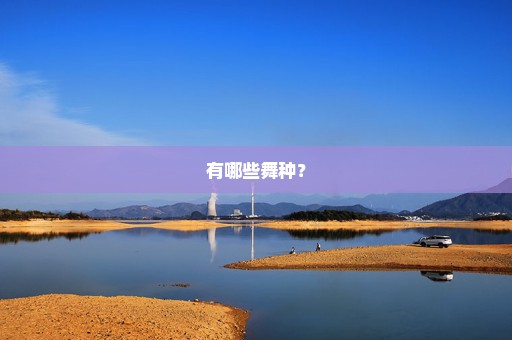 有哪些舞种？