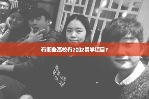 有哪些高校有2加2留学项目？