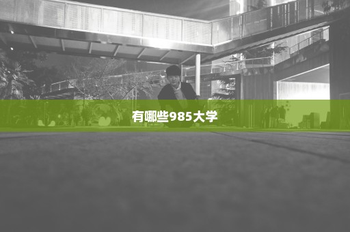 有哪些985大学