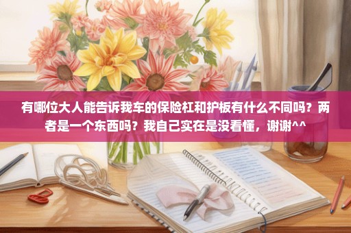 有哪位大人能告诉我车的保险杠和护板有什么不同吗？两者是一个东西吗？我自己实在是没看懂，谢谢^^
