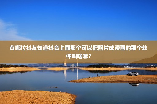 有哪位抖友知道抖音上面那个可以把照片成漫画的那个软件叫啥嘛？
