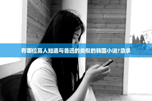 有哪位高人知道与鲁迅的类似的韩国小说?急求