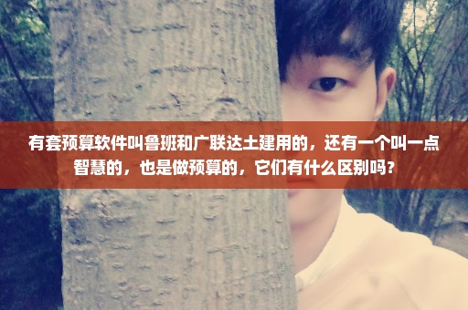 有套预算软件叫鲁班和广联达土建用的，还有一个叫一点智慧的，也是做预算的，它们有什么区别吗？