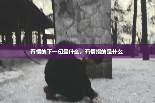 有情的下一句是什么，有情指的是什么 