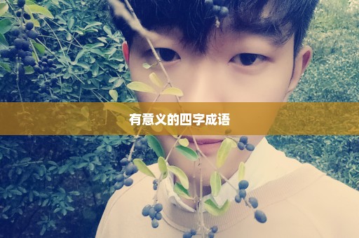 有意义的四字成语
