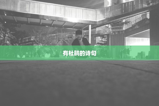 有杜鹃的诗句