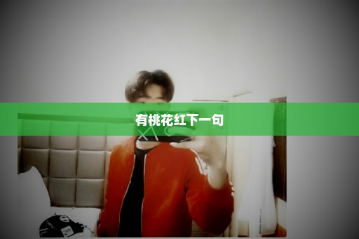 有桃花红下一句