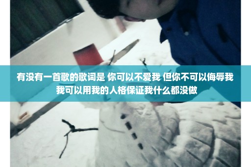 有没有一首歌的歌词是 你可以不爱我 但你不可以侮辱我 我可以用我的人格保证我什么都没做