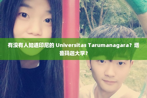有没有人知道印尼的 Universitas Tarumanagara？塔鲁玛迦大学？