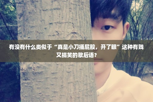 有没有什么类似于“真是小刀捅屁股，开了眼”这种有贱又搞笑的歇后语？