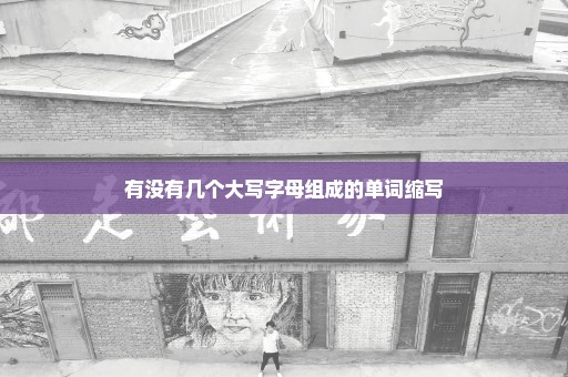 有没有几个大写字母组成的单词缩写