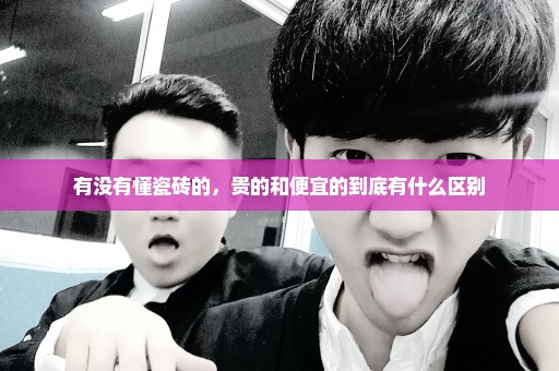 有没有懂瓷砖的，贵的和便宜的到底有什么区别