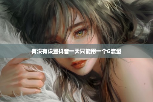 有没有设置抖音一天只能用一个G流量