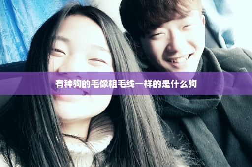 有种狗的毛像粗毛线一样的是什么狗