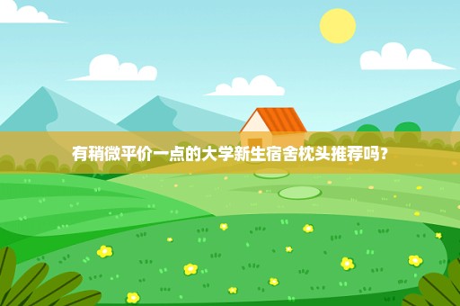 有稍微平价一点的大学新生宿舍枕头推荐吗？