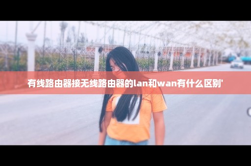 有线路由器接无线路由器的lan和wan有什么区别'