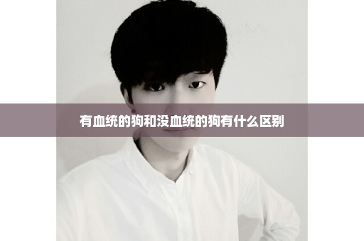 有血统的狗和没血统的狗有什么区别