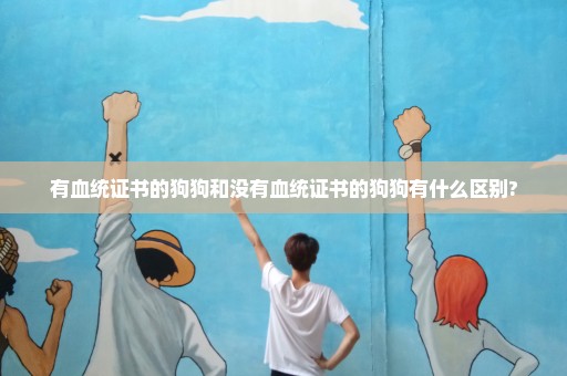有血统证书的狗狗和没有血统证书的狗狗有什么区别?