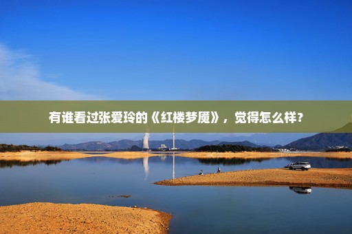 有谁看过张爱玲的《红楼梦魇》，觉得怎么样？
