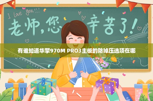 有谁知道华擎970M PRO3主板的防掉压选项在哪