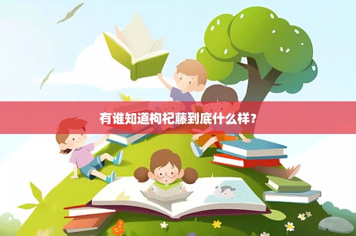 有谁知道枸杞藤到底什么样？