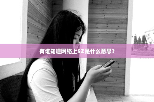 有谁知道网络上SZ是什么意思？