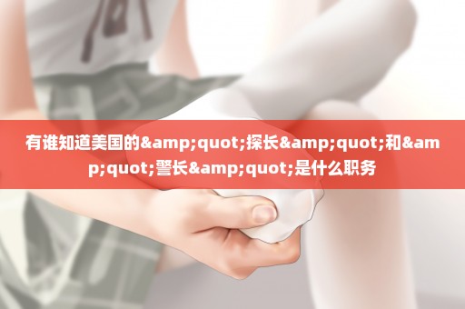 有谁知道美国的"探长"和"警长"是什么职务
