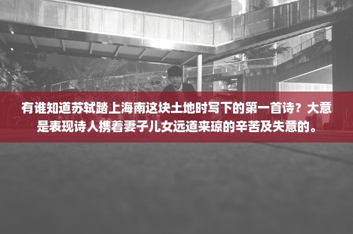 有谁知道苏轼踏上海南这块土地时写下的第一首诗？大意是表现诗人携着妻子儿女远道来琼的辛苦及失意的。