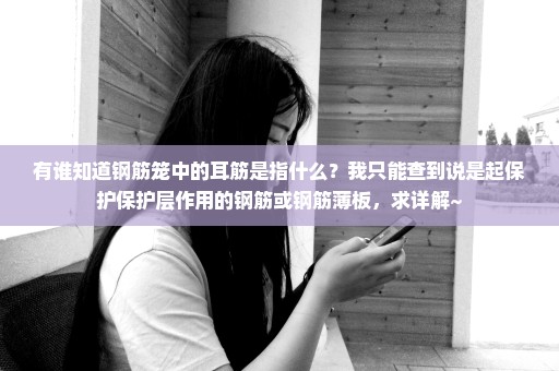 有谁知道钢筋笼中的耳筋是指什么？我只能查到说是起保护保护层作用的钢筋或钢筋薄板，求详解~