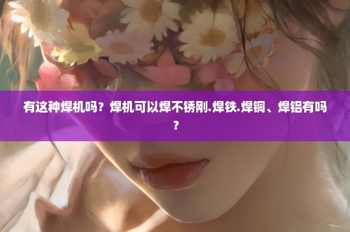 有这种焊机吗？焊机可以焊不锈刚.焊铁.焊铜、焊铝有吗？