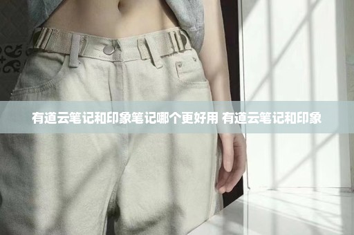 有道云笔记和印象笔记哪个更好用 有道云笔记和印象