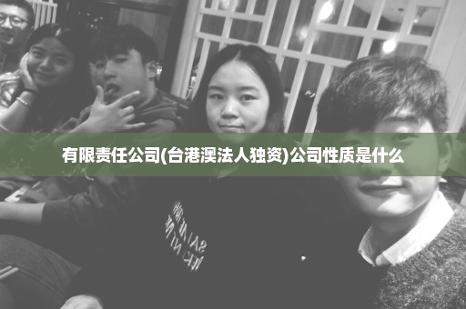 有限责任公司(台港澳法人独资)公司性质是什么