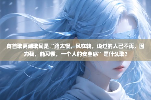 有首歌高潮歌词是“路太慢，风在转，说过的人已不再，因为我，能习惯，一个人的安全感”是什么歌？